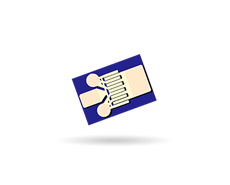 TGF2023-2-01
